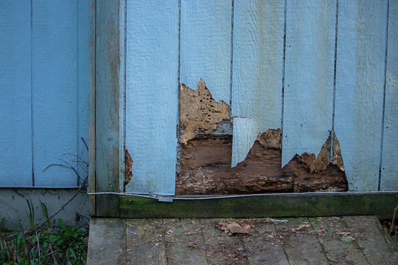 Siding Repair Specialists
